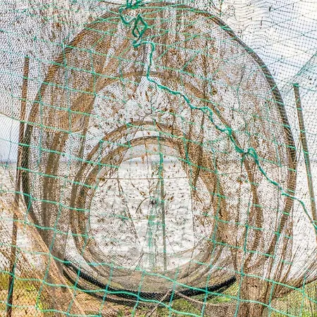 Дом отдыха Reetdachhaus Waldidylle