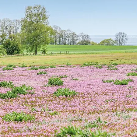 Дом отдыха Reetdachhaus Waldidylle *