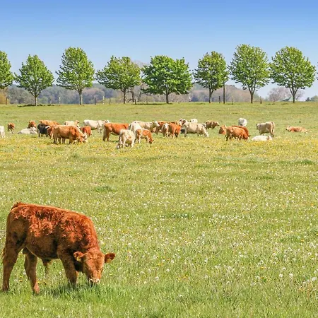 Reetdachhaus Waldidylle Ferienhaus *