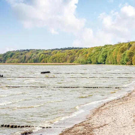 Reetdachhaus Waldidylle