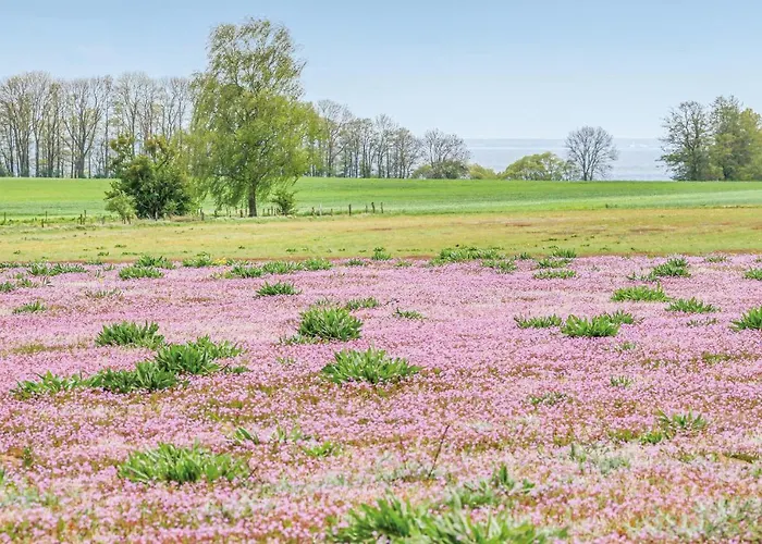 度假居 Reetdachhaus Waldidylle *