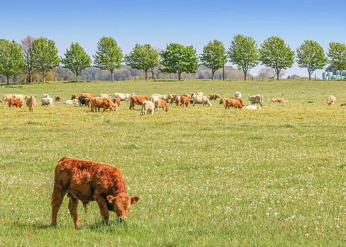 Reetdachhaus Waldidylle 度假居 *